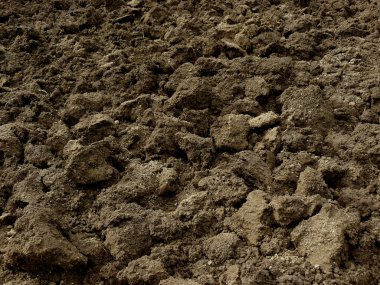 taze sürülmüş alan