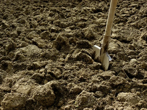 Shovel in the ground — Stock Photo, Image