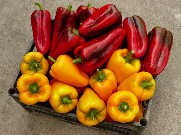 Red and yellow peppers — Stock Photo, Image