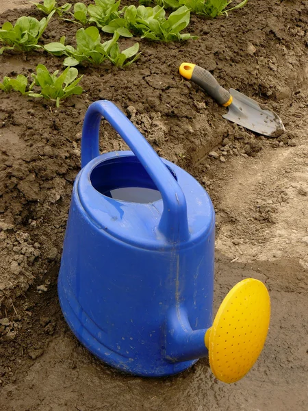 Watering can — Stock Photo, Image