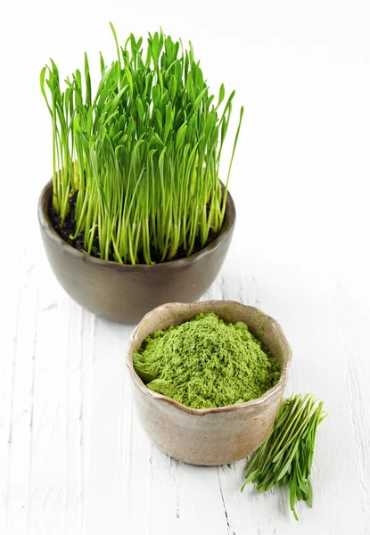 Bowl of wheat sprouts powder — Stock Photo, Image