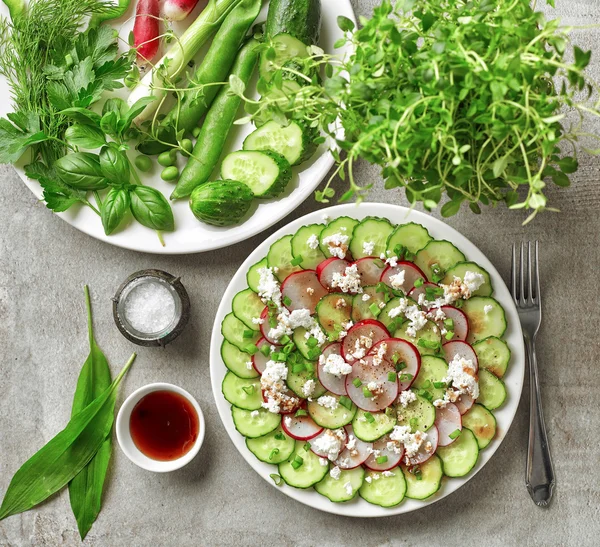 Cucumber and radish salad — Stock Photo, Image