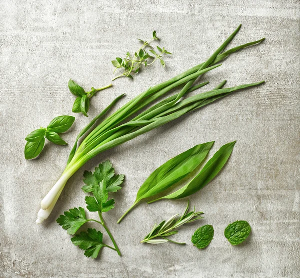 Green herbs on gray stone background — Stock Photo, Image