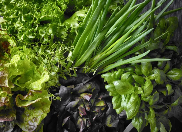 Various green vegetables — Stock Photo, Image