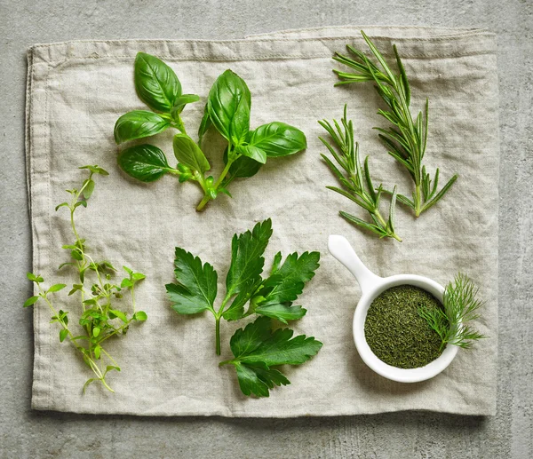 Verschiedene frische Kräuter — Stockfoto