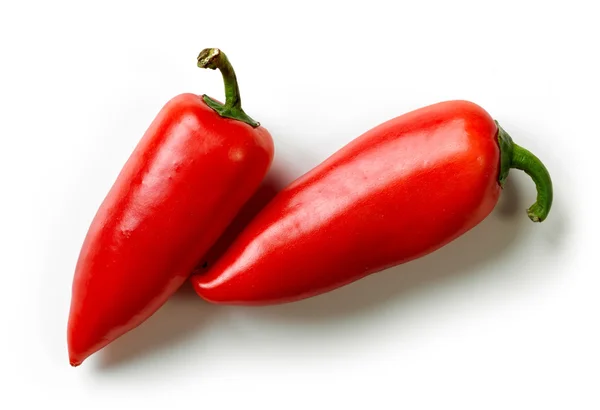 Två färska paprika — Stockfoto