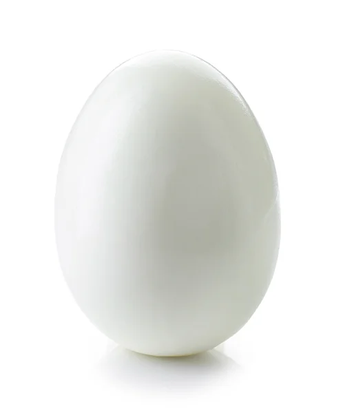 Fresh boiled egg — Stock Photo, Image