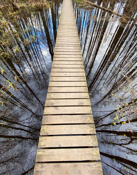 Wooden Footpath Lake Nature Trails Tree Reflections Water — Stock Photo, Image