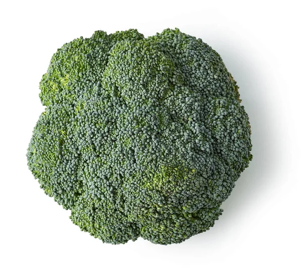 Fresh Raw Broccoli Isolated White Background Top View — Stock Photo, Image