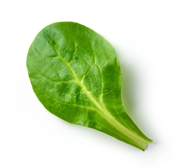 Frisches Grünes Salatblatt Isoliert Auf Weißem Hintergrund Draufsicht — Stockfoto