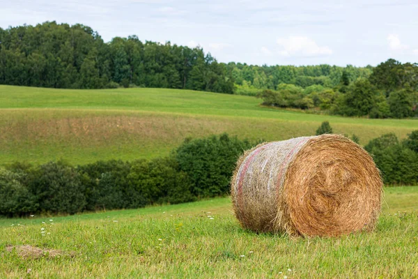 Paysage Avec Rouleau Foin Sur Terrain — Photo