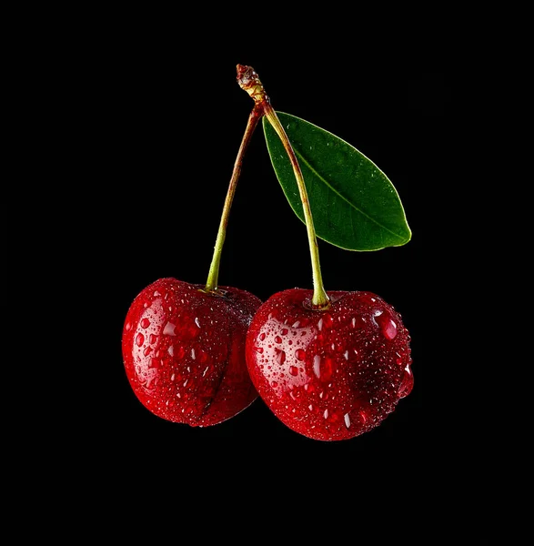 Fresh Wet Cherries Isolated Black Background — Stock Photo, Image