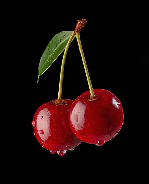 Cerejas Vermelhas Frescas Com Gotas Água Isoladas Fundo Preto — Fotografia de Stock