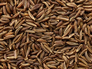 Kimyon tohumları arkaplan makro, üst görünüm