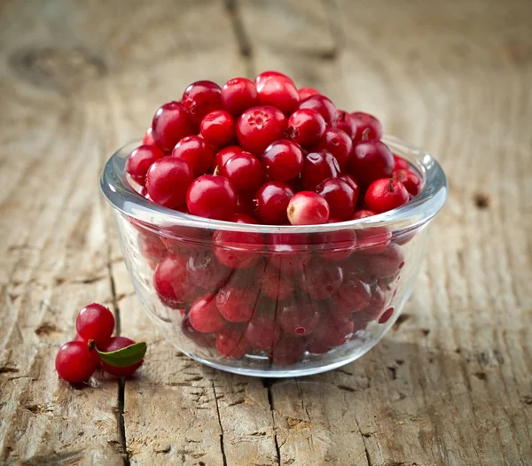 Bowl of cowberries — Stock Photo, Image