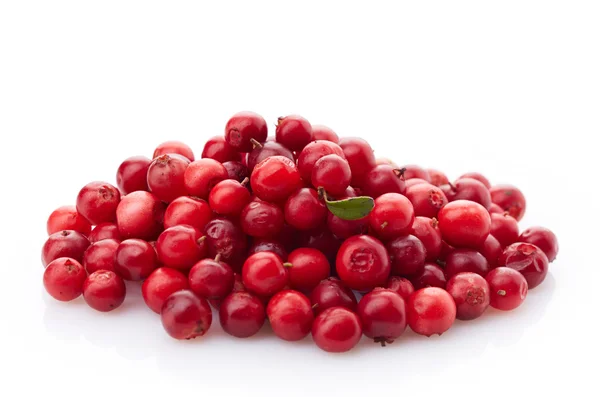 Fresh red cowberries — Stock Photo, Image