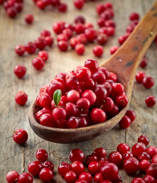 Fresh raw cowberries — Stock Photo, Image