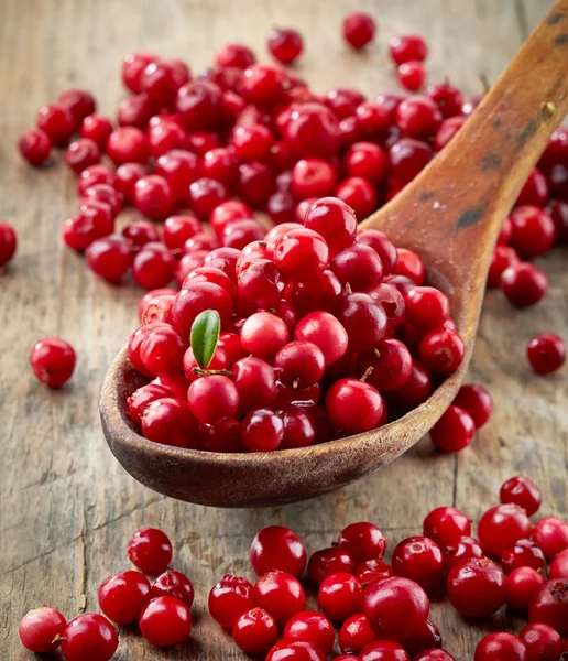 Fresh raw cowberries — Stock Photo, Image