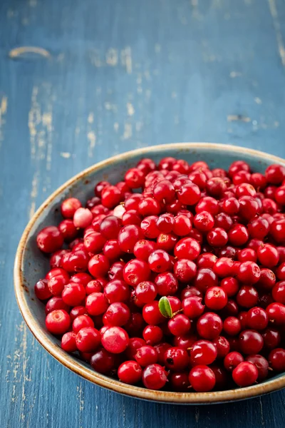 Bowl of cowberries — Stock Photo, Image