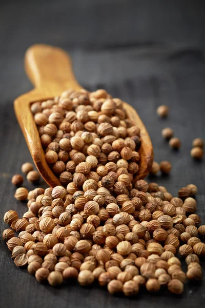 Pala de madera con semillas de cilantro — Foto de Stock