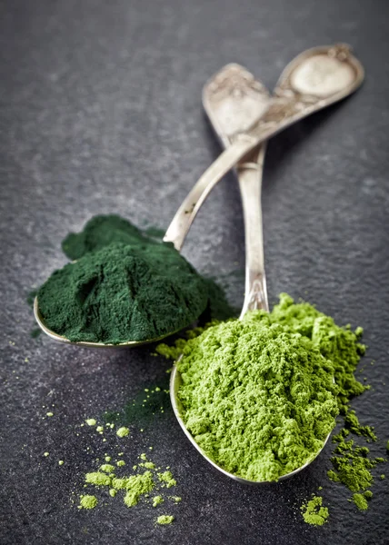 Twee lepels van spirulina-algen en tarwe spruiten poeder — Stockfoto