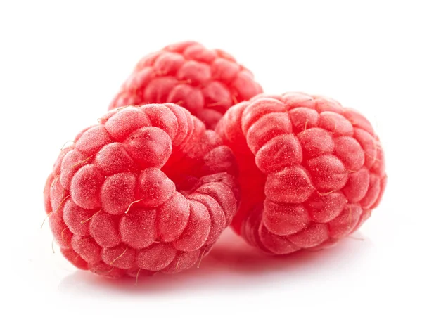 Fresh organic raspberries — Stock Photo, Image