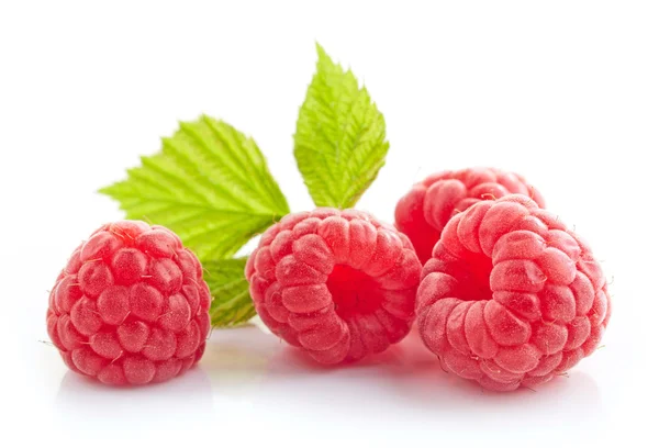 Fresh organic raspberries — Stock Photo, Image