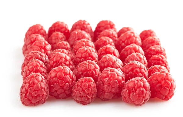 Gruppe frischer Himbeeren — Stockfoto