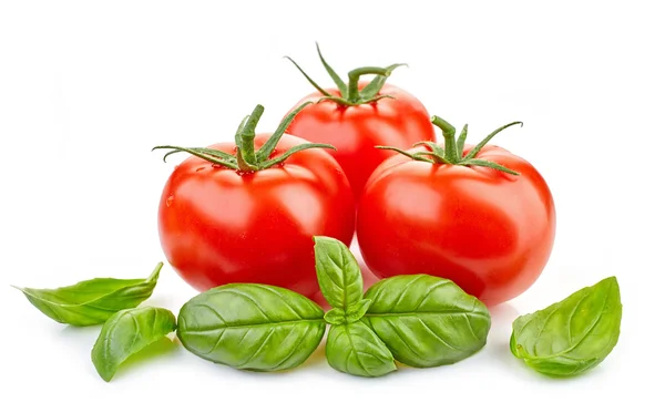 Fresh tomatoes and basil leaves — Stock Photo, Image