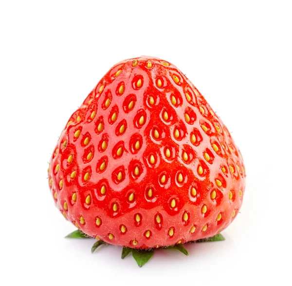 Färsk röd jordgubbe — Stockfoto