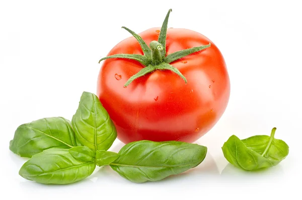 Tomate fresco y hoja de albahaca — Foto de Stock