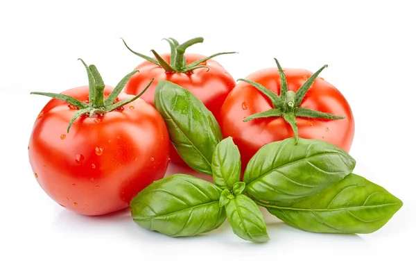 Taze domates ve fesleğen yaprağı — Stok fotoğraf