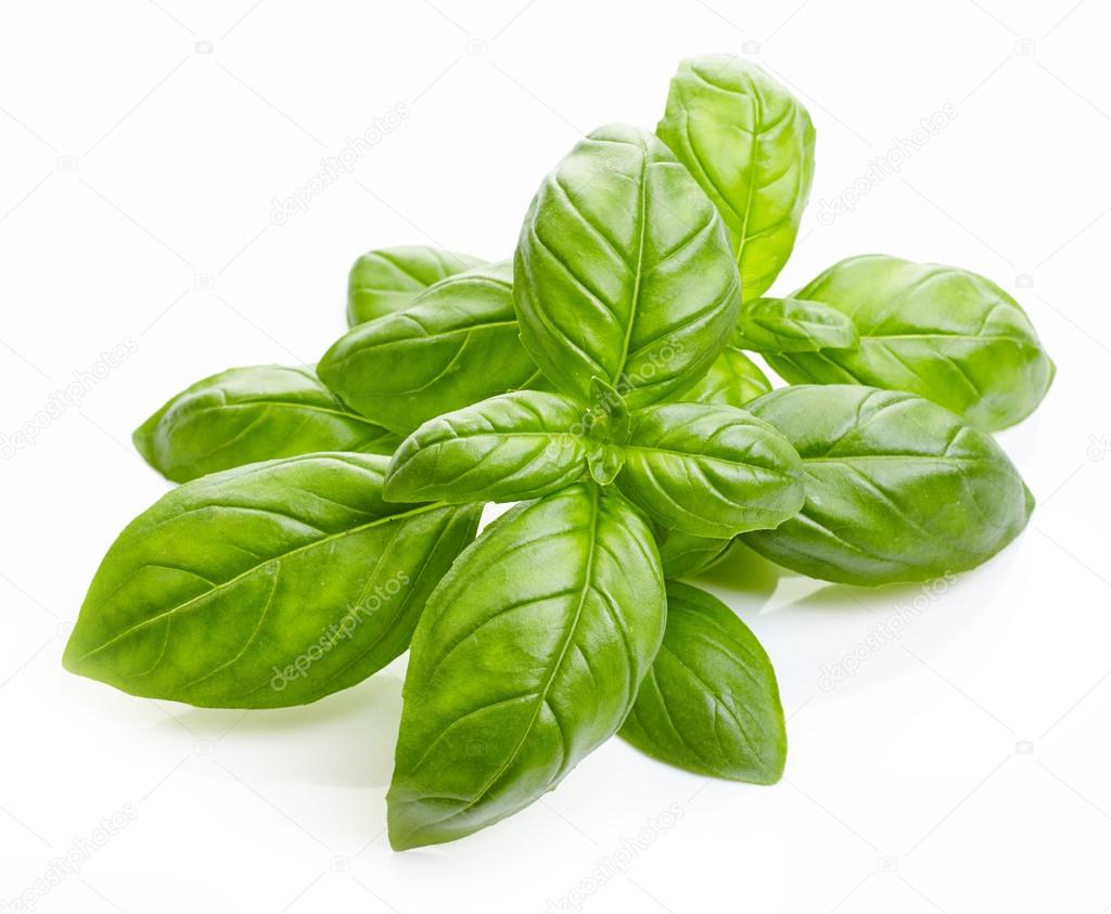 fresh basil leaves