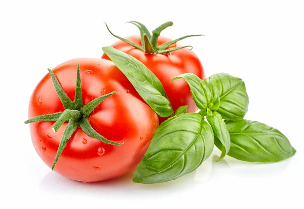 Pomodori freschi e basilico — Foto Stock