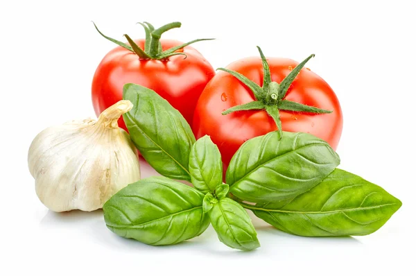 Taze domates ve fesleğen — Stok fotoğraf