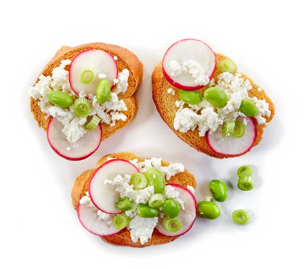 Toasted bread with radish and cottage cheese — Stock Photo, Image