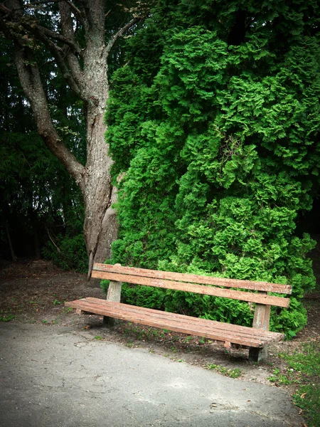 Oude houten bench — Stockfoto