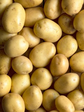 Çiğ sarı patatesler çerçeveyi doğal gıda arka planıyla dolduruyor.