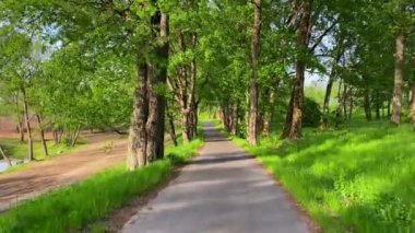 Bahar parkı yolunda yürü, Pov
