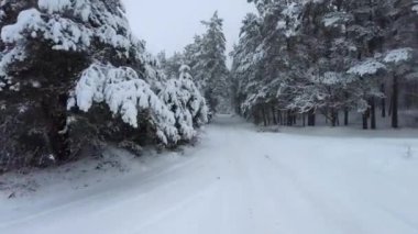 Kış ormanı boyunca arabayla