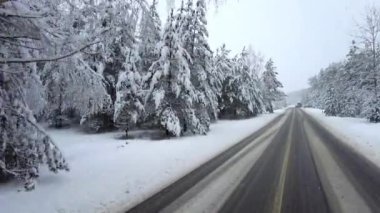 Karlı bir orman yolunda arabayla