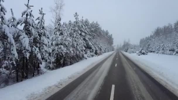 Mit Dem Auto Auf Schneebedeckter Waldstraße — Stockvideo