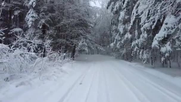 Met Auto Een Besneeuwde Bosweg — Stockvideo