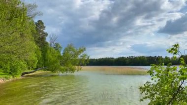 Yazın güzel orman gölü