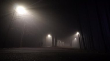Gece sisli parkı, yolda yürüyen çift.