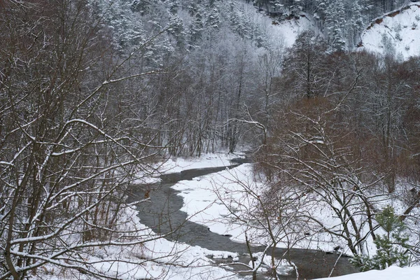 Winter Landscape River Snowy Forest — Stock Photo, Image