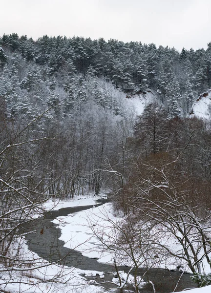 Paisagem Inverno Com Rio Floresta Nevada — Fotografia de Stock