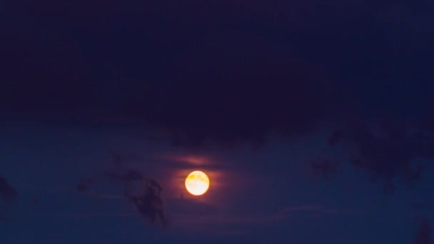 Full moon in the rain clouds, time-lapse — Stock Video