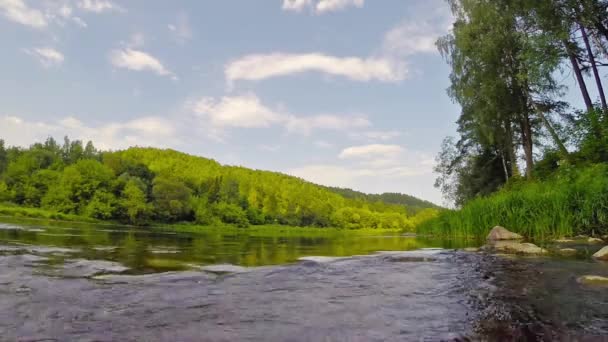 Summer river and dragonflies — Stock Video