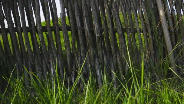 Rustic fence, shoot with slider — Stock Video